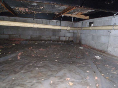 Top 3 Reasons Your Crawlspace Has Mold