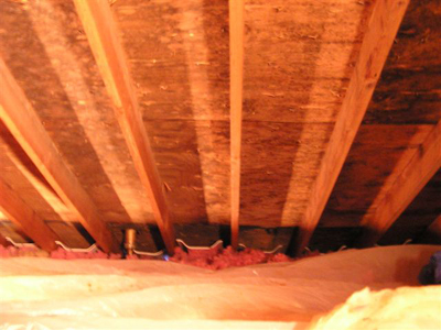 Why Does Mold Grow In My Attic?