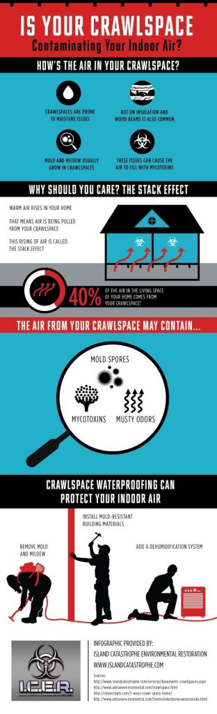 Top 5 Ways Your Crawl Space Affects Your Home Infographic