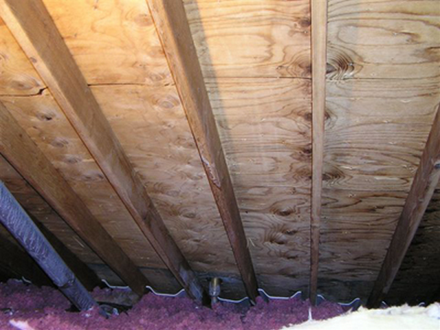Why Does Mold Grow In My Attic?