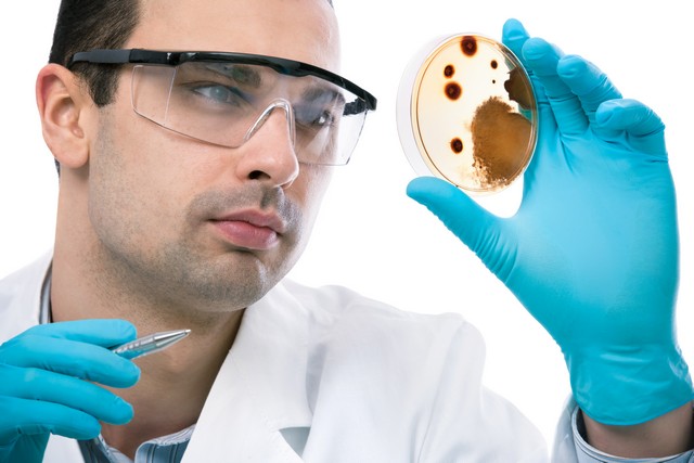 Got Mold & Health Questions? We Have Answers!: Wondering why mold is a health concern? This article lists the top 15 questions asked about specific health problems caused by mold. Learn more!