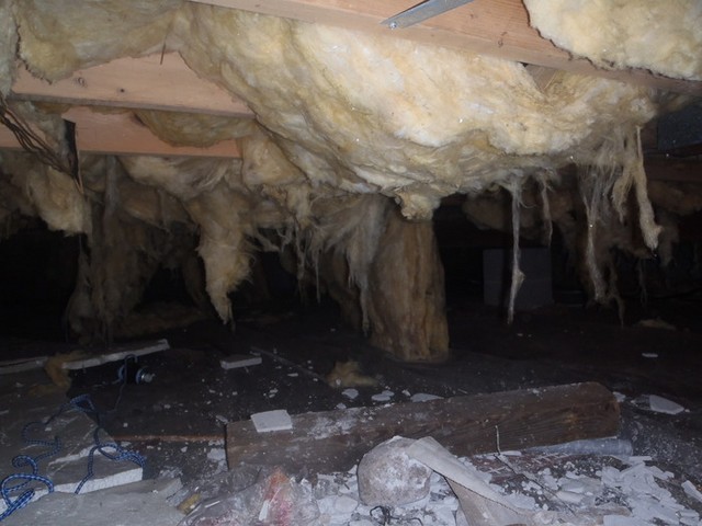 Why Does Mold Grow In Crawlspaces?