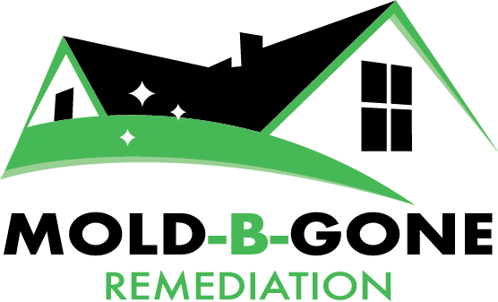 Mold Remediation & Removal Company in Atlanta - Mold-B-Gone
