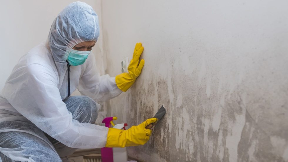 How Long Should I Expect My Mold Remediation to Take?