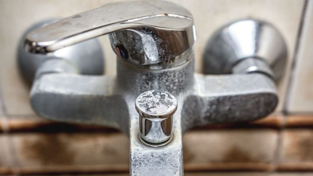 Can You Remove Mold from Metal Safely?