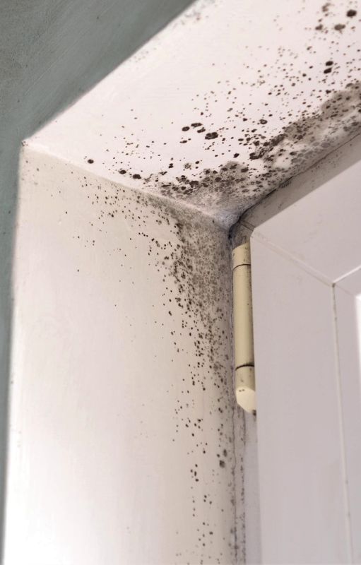 Mold Growth Near Door Frame<br />
