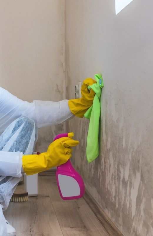 Specialist Cleaning Mold in Flowery Branch, GA<br />
