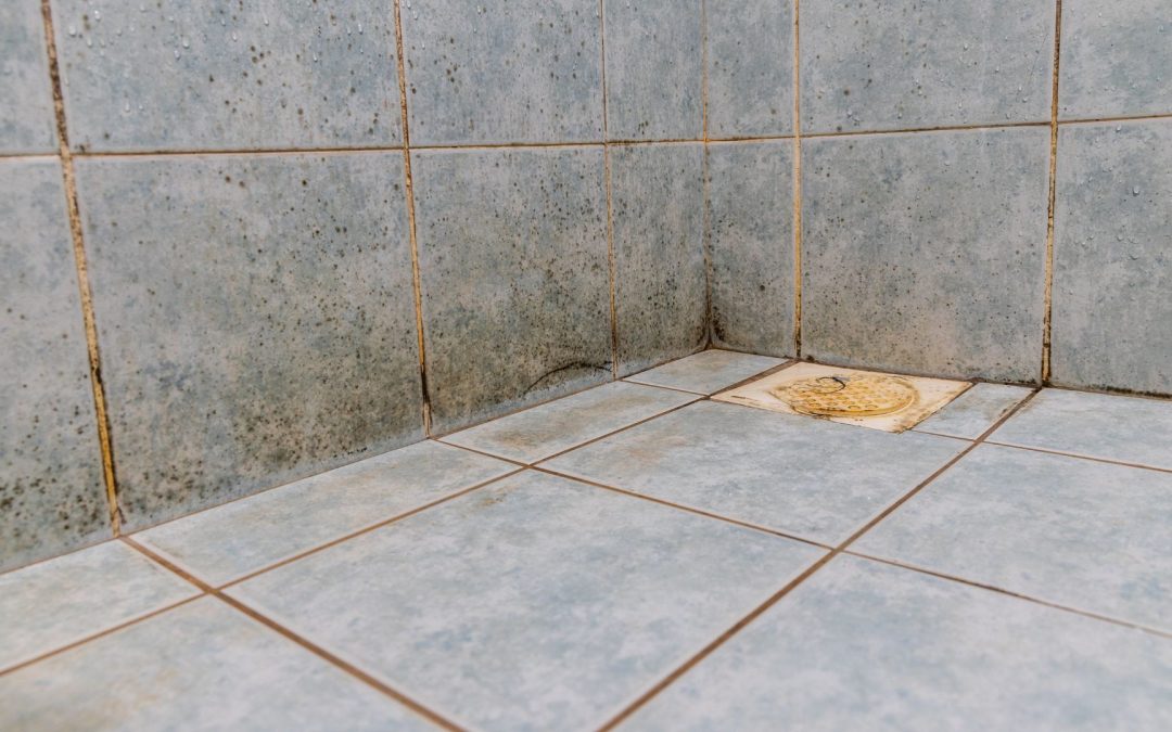 How to Remove Bathroom Mold: 4 Tips from the Pros