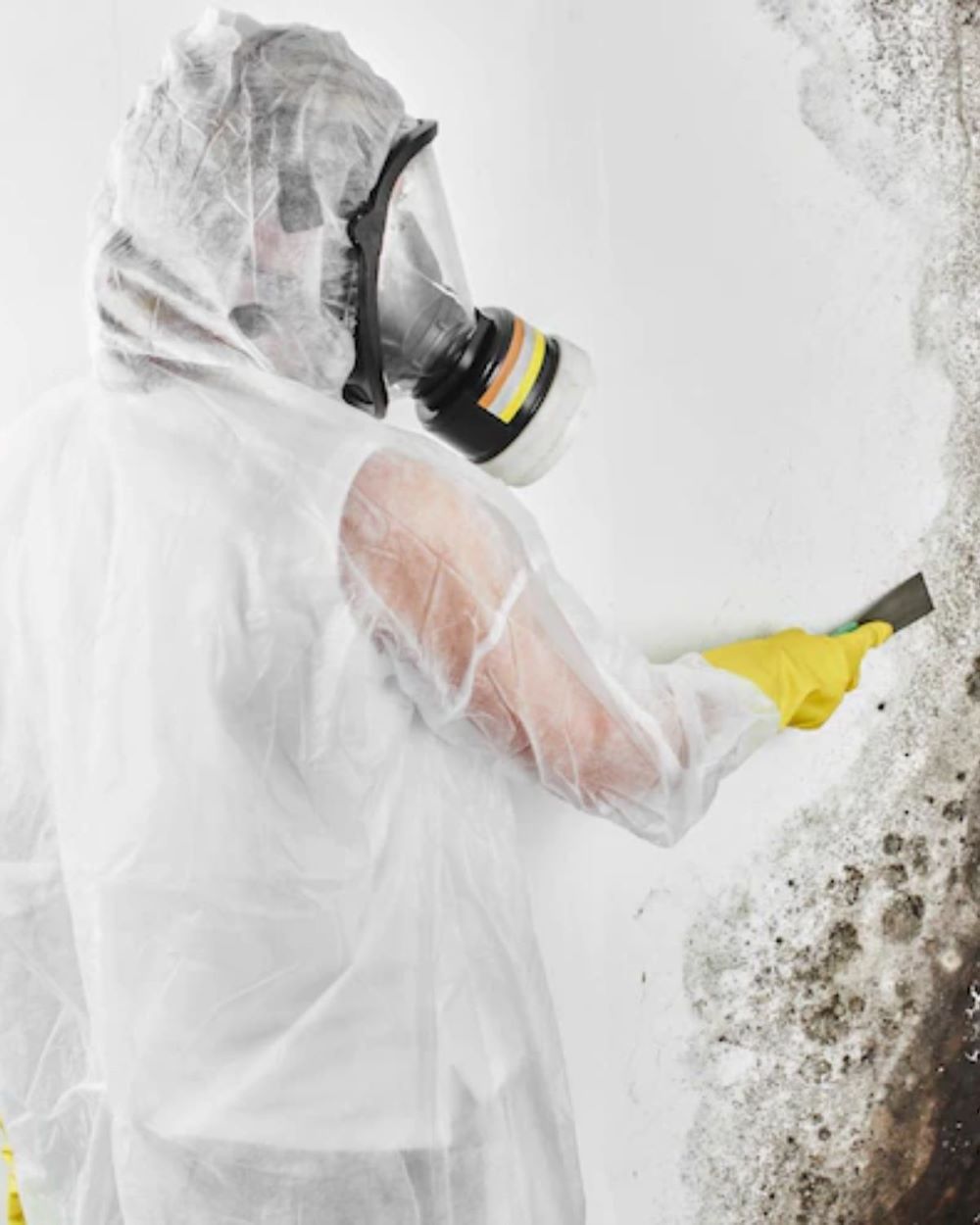 Mold Removal Specialist Woodstock, GA