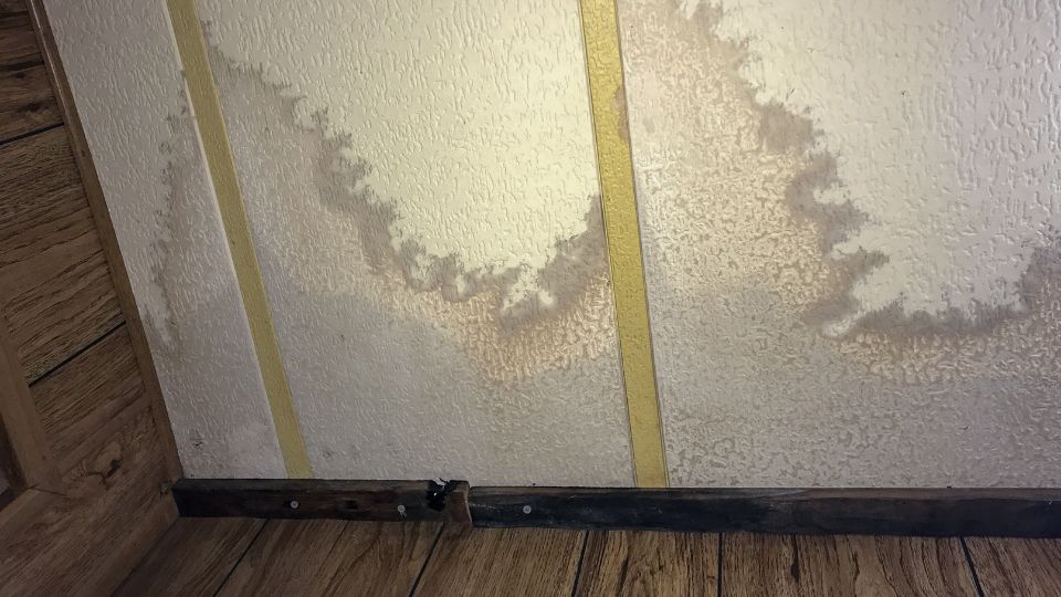 How Fast Can Mold Grow After Water Damage?