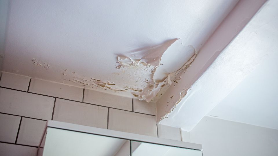 Why There is Mold on Your Bathroom Ceiling