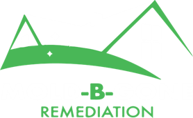 Mold Remediation & Removal Company in Atlanta - Mold-B-Gone