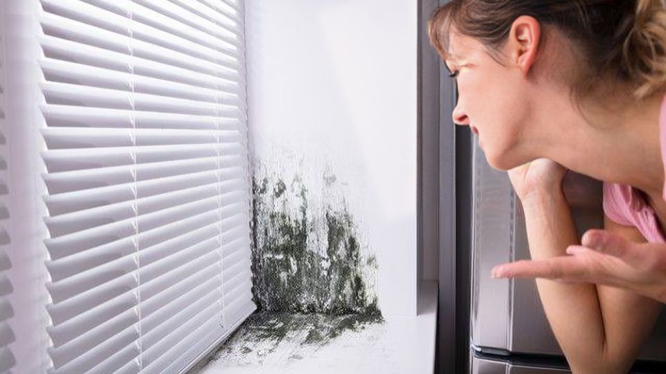 Woman Looking At A Moldy Window