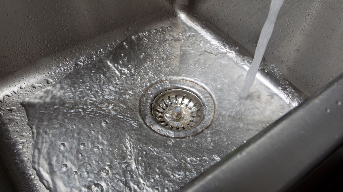 How To Put a Stop To Mold Growth in Your Pipes and Drains