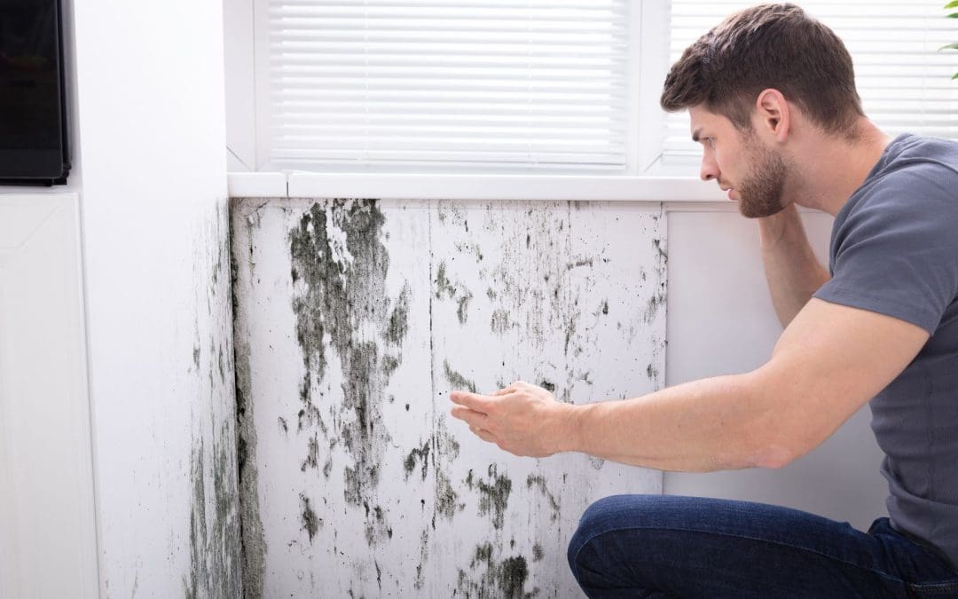How Does Mold Affect Air Quality? Understand the Health Implications and Prevention Strategies