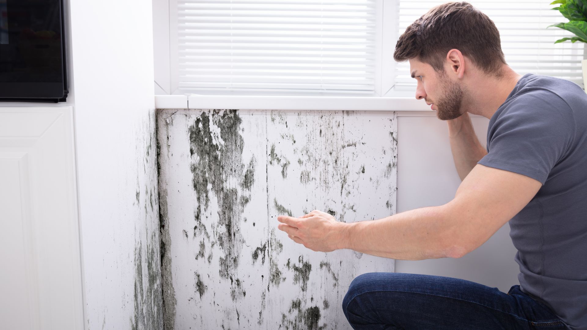 Healthcare Worker Showing Elderly Woman Mold Inspection Results