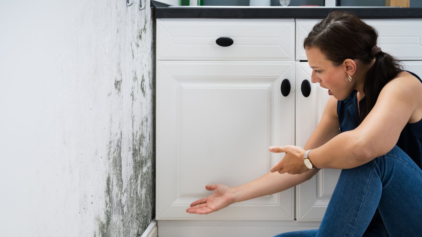 Woman Inspecting Wall Mold