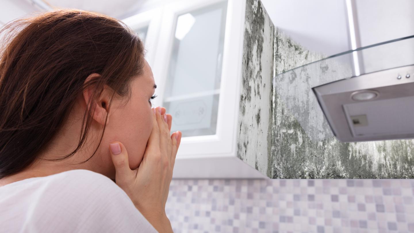 Risks Associated with Mold Exposure