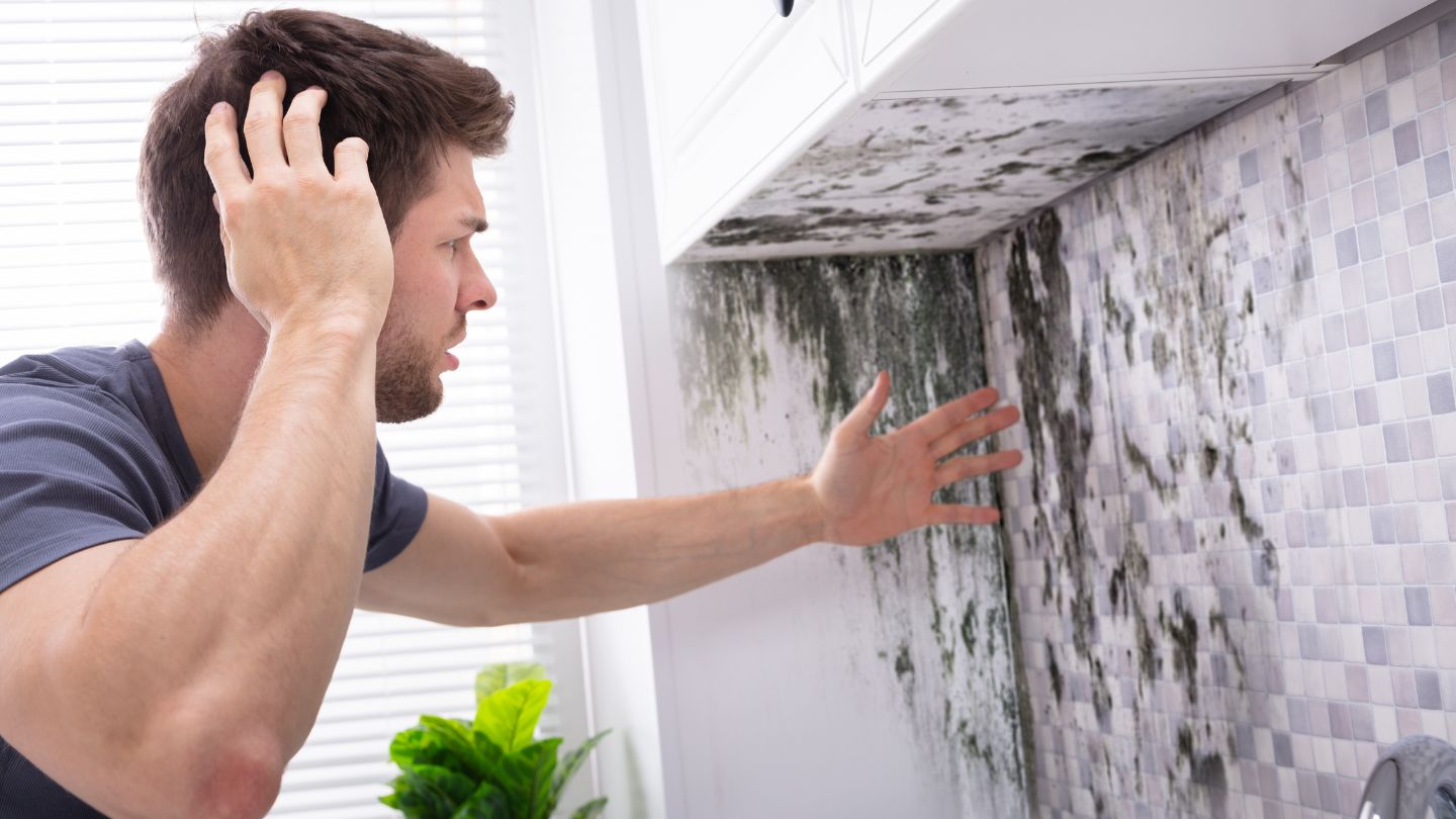 Common Areas Prone to Mold Growth