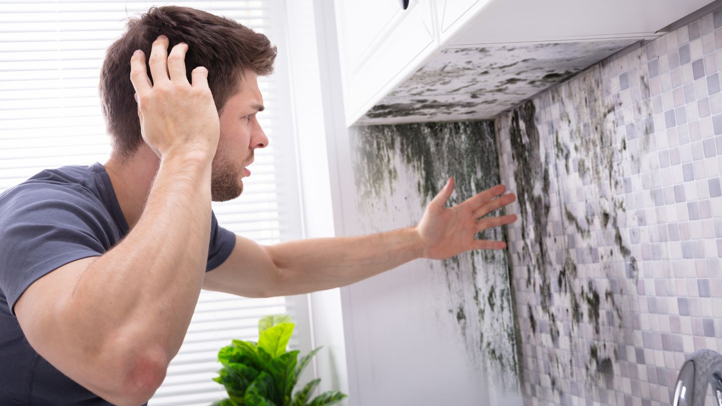 Understanding The Difference Between Mold Inspection and Testing