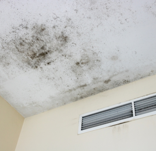 Mold And Mildew On Ceiling With Vent Grill