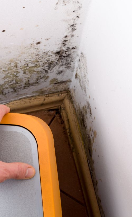 Black Mold Spreading In Corner Black Mold Spreading In Corner