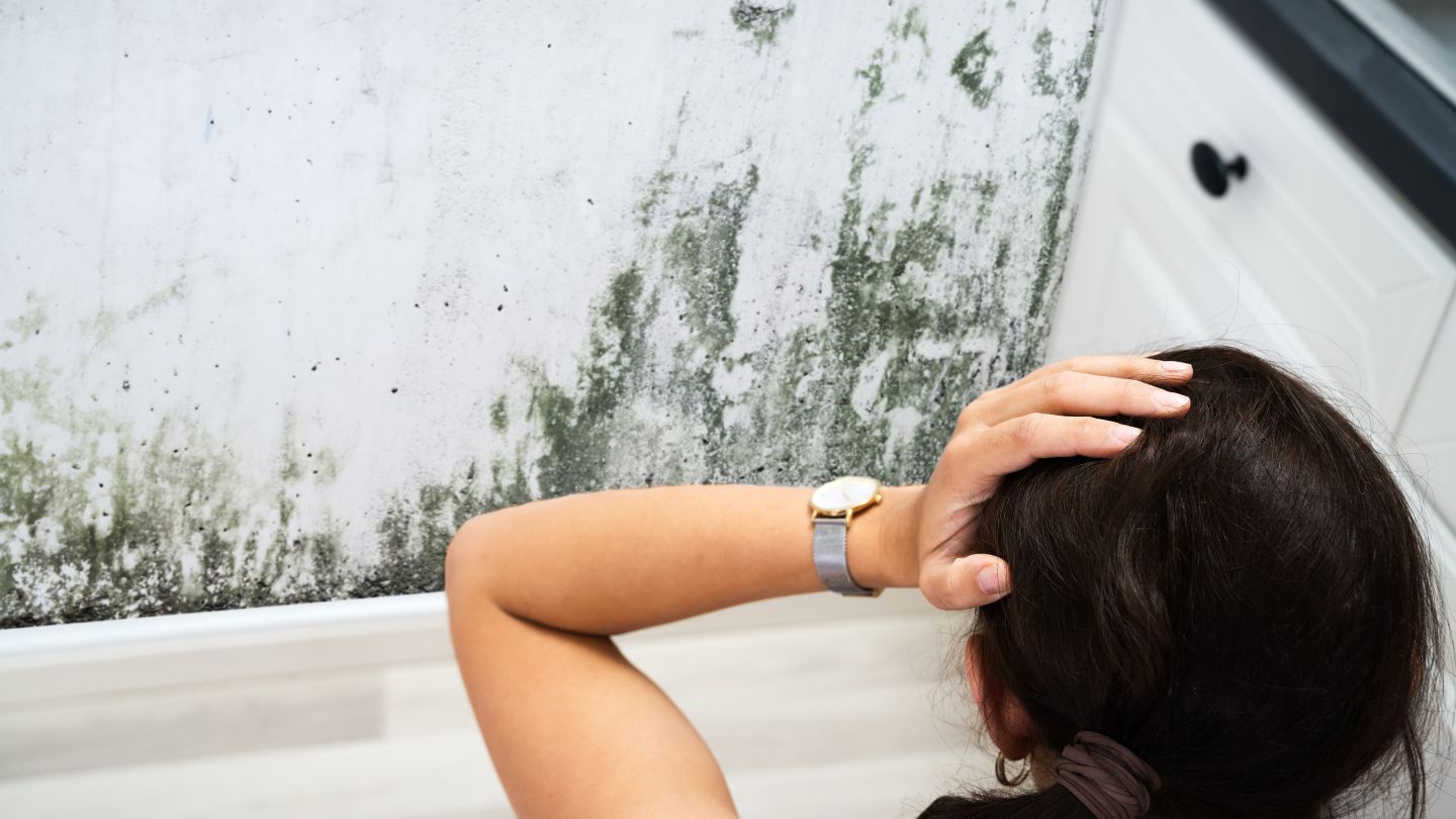 Woman Looking At Mold On Wall In Distress