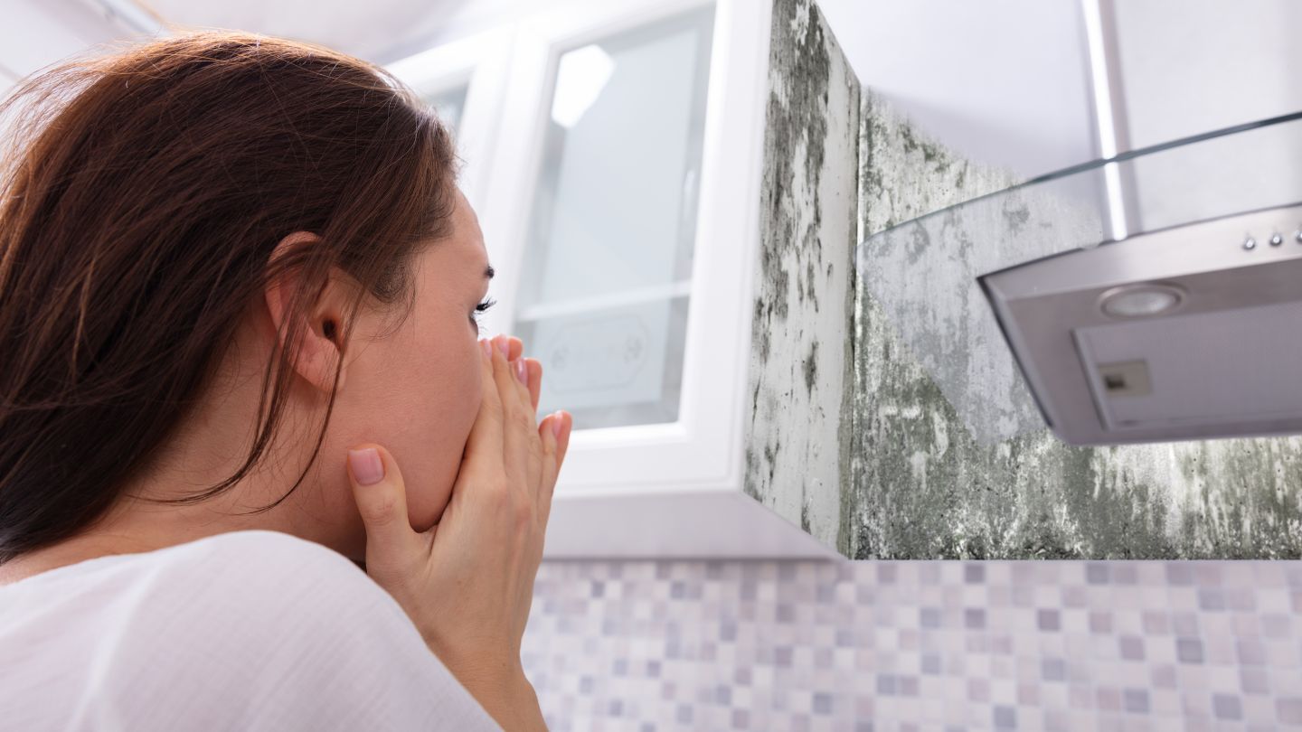 Preventing Mold Growth and Exposure