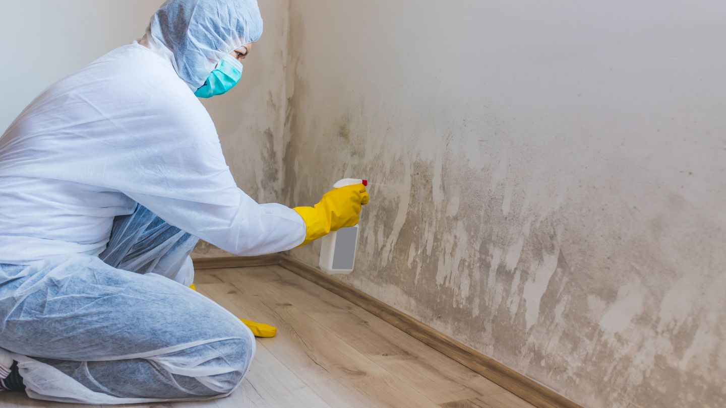 Certification and Experience of Mold Inspectors