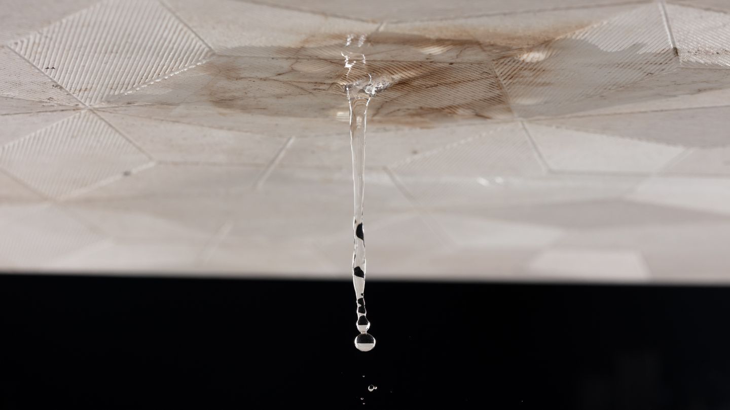 Effective Moisture Control Strategies