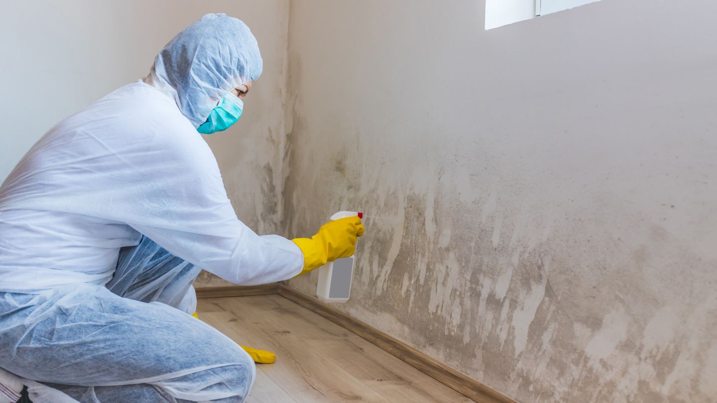 The Role of Moisture Control in Effective Mold Remediation: Best Practices and Tips The Role of Moisture Control in Effective Mold Remediation: Best Practices and Tips