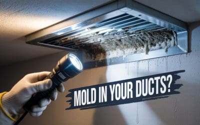 Why Do Homes in Atlanta Have Mold Traces in Their Ducts and How to Prevent It