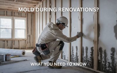 Is Mold a Concern During Renovations? Here’s What You Need to Know