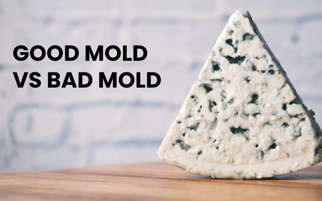 Good Mold vs Bad Mold
