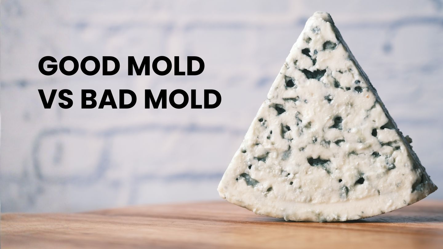 Good Mold vs Bad Mold