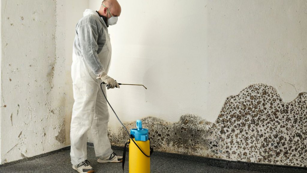 The Importance of Hiring Qualified Mold Professionals