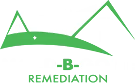Mold-B-Gone Logo